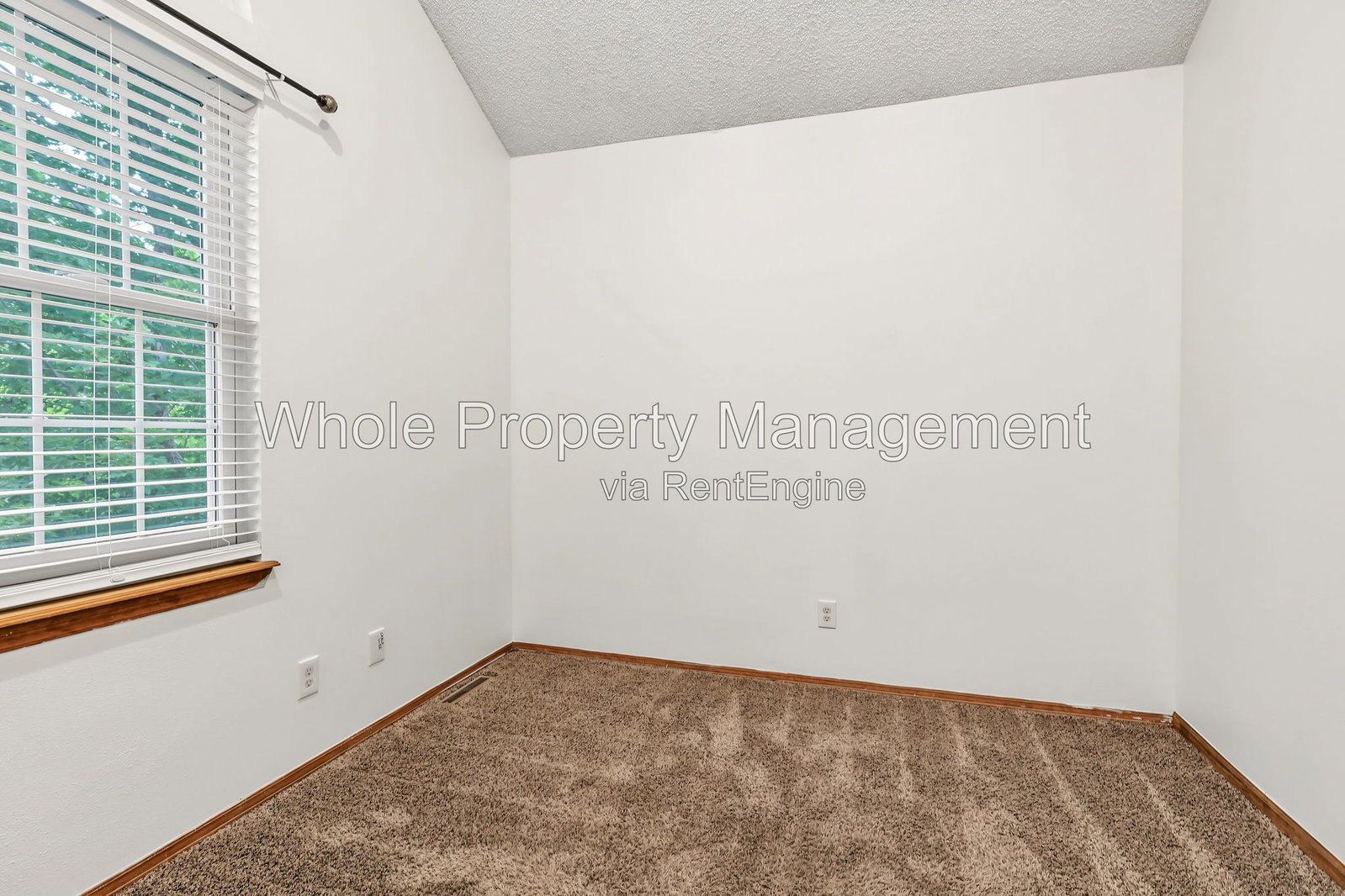 Gallery Image 20