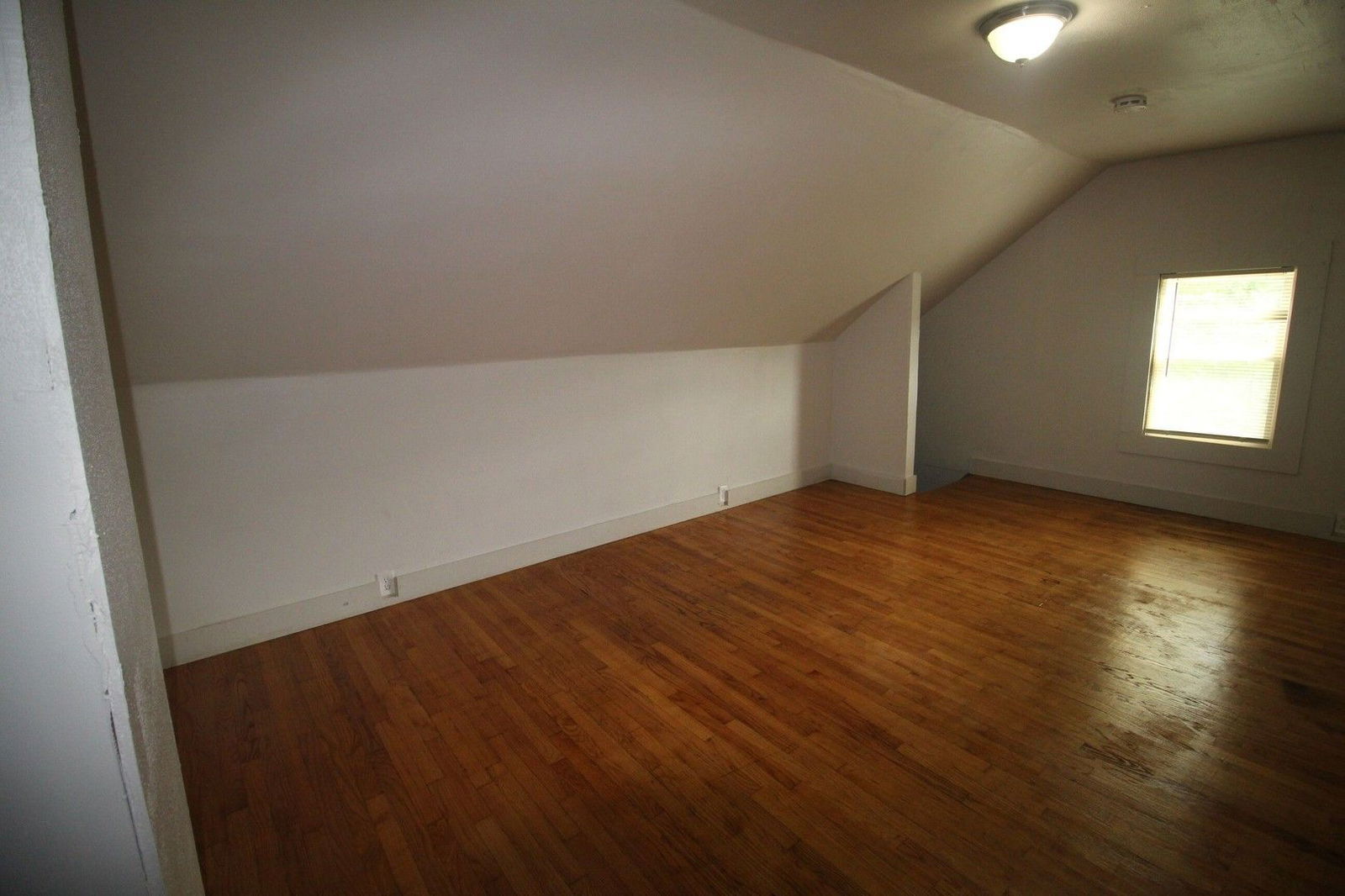Gallery Image 20