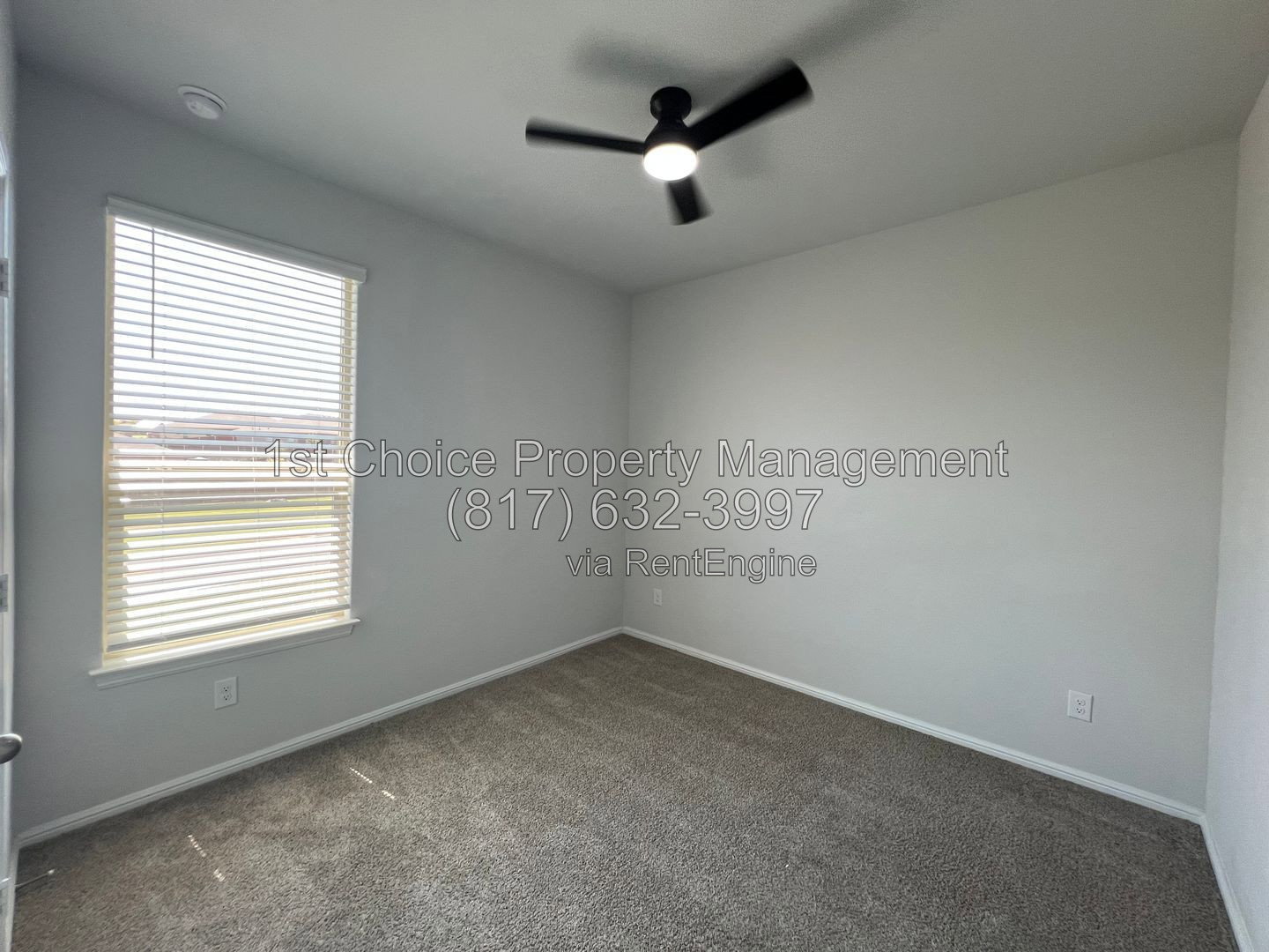 Gallery Image 56