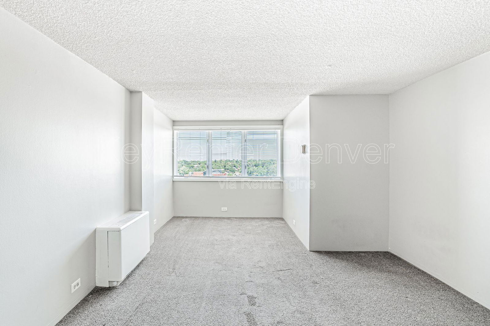 Gallery Image 22