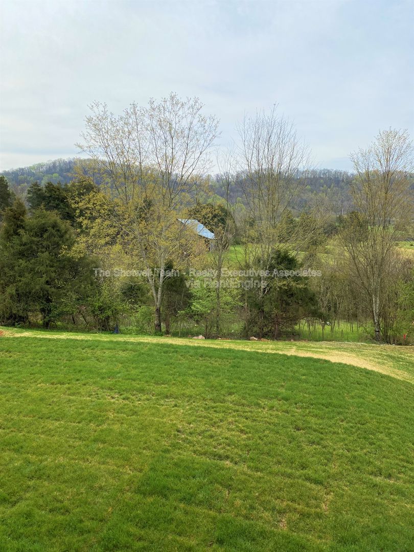 Gallery Image 27