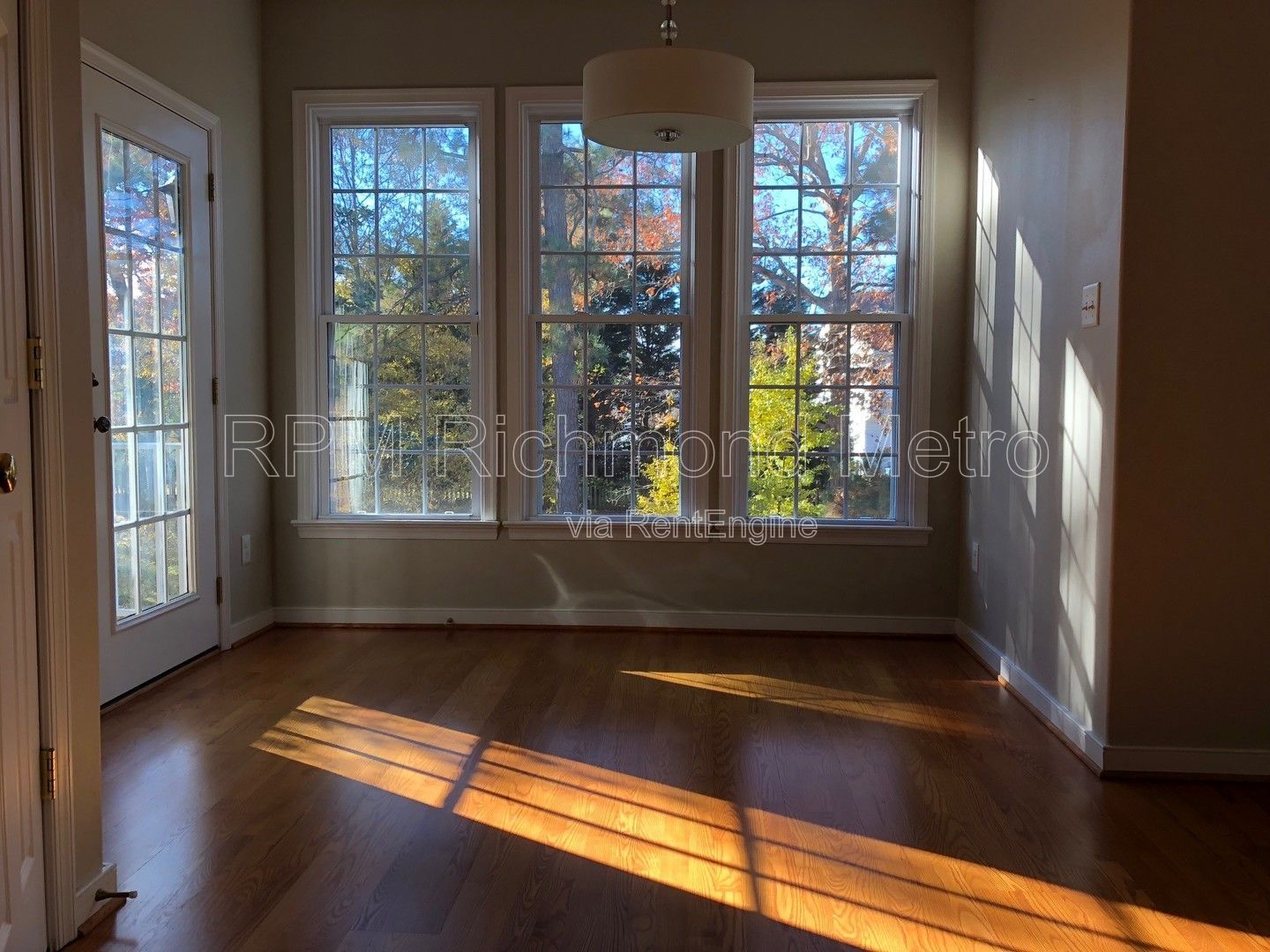 Gallery Image 19