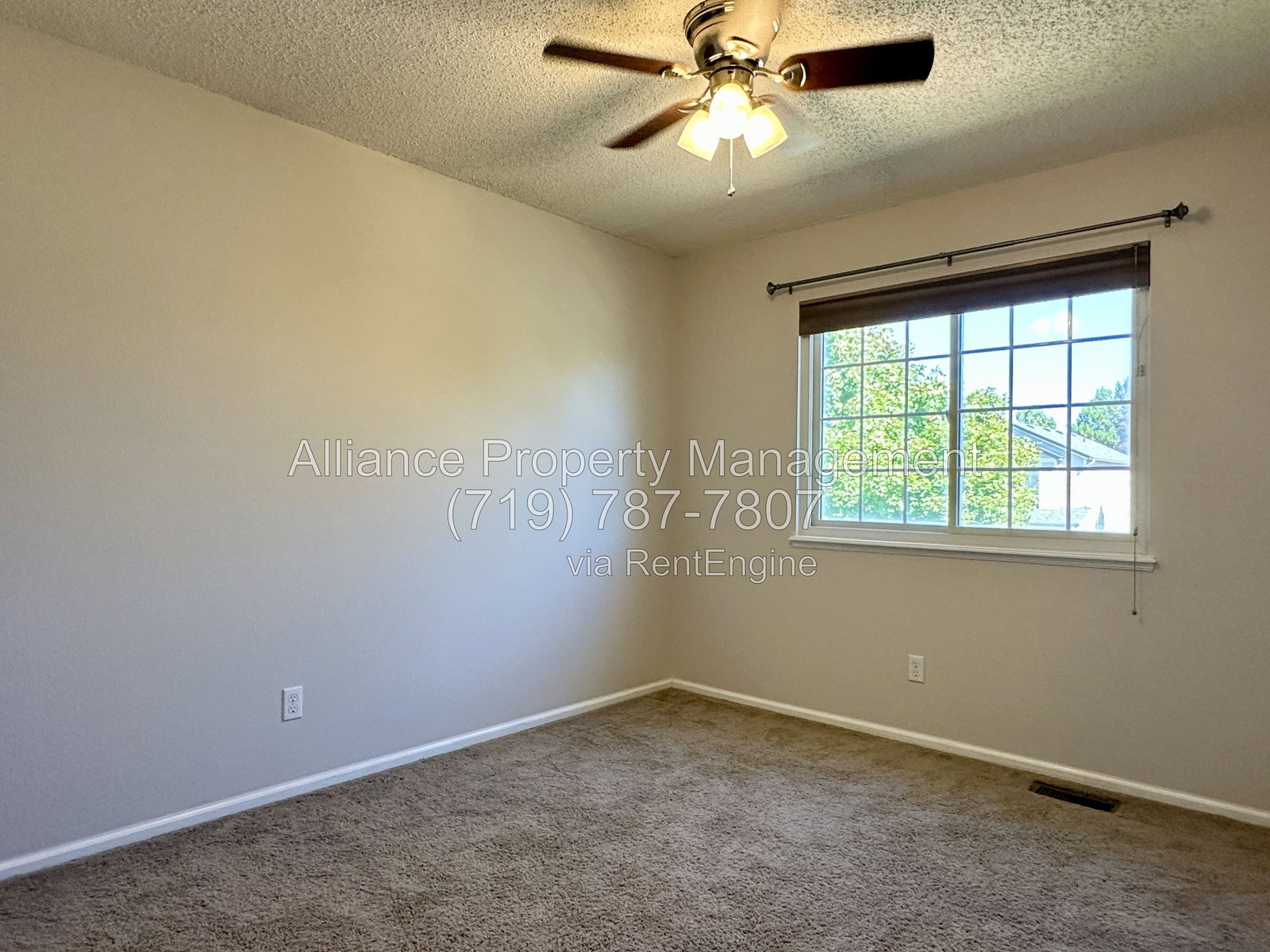 Gallery Image 37