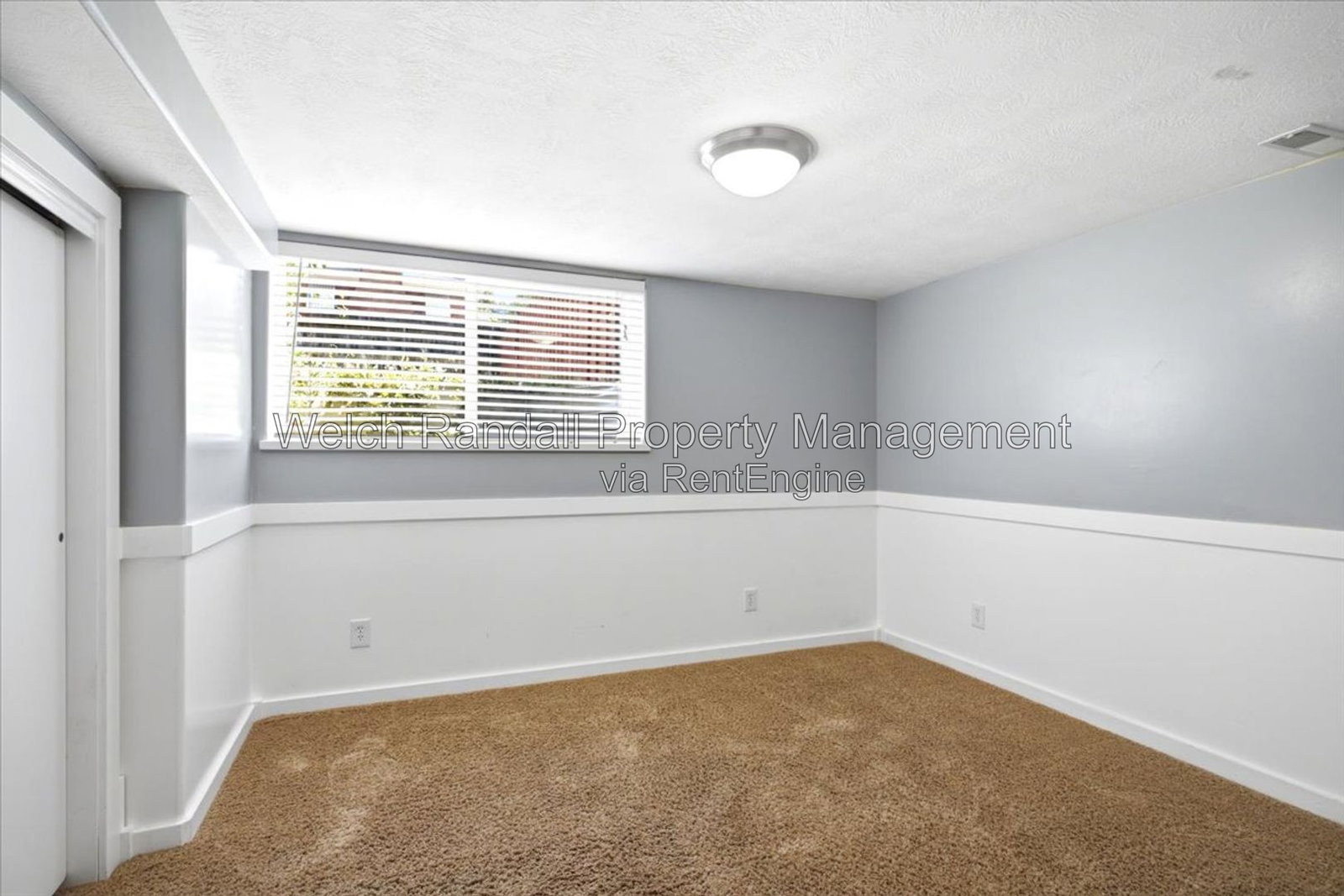 Gallery Image 19