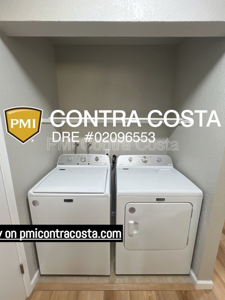 Gallery Image 22