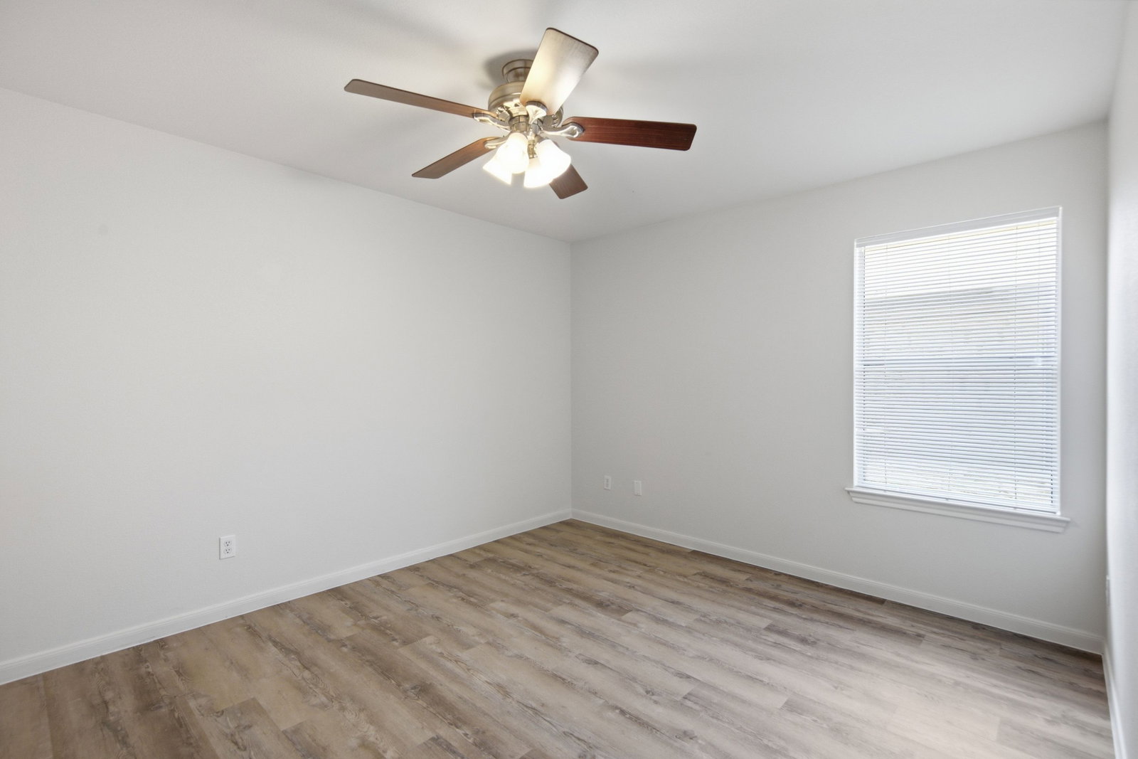 Gallery Image 19