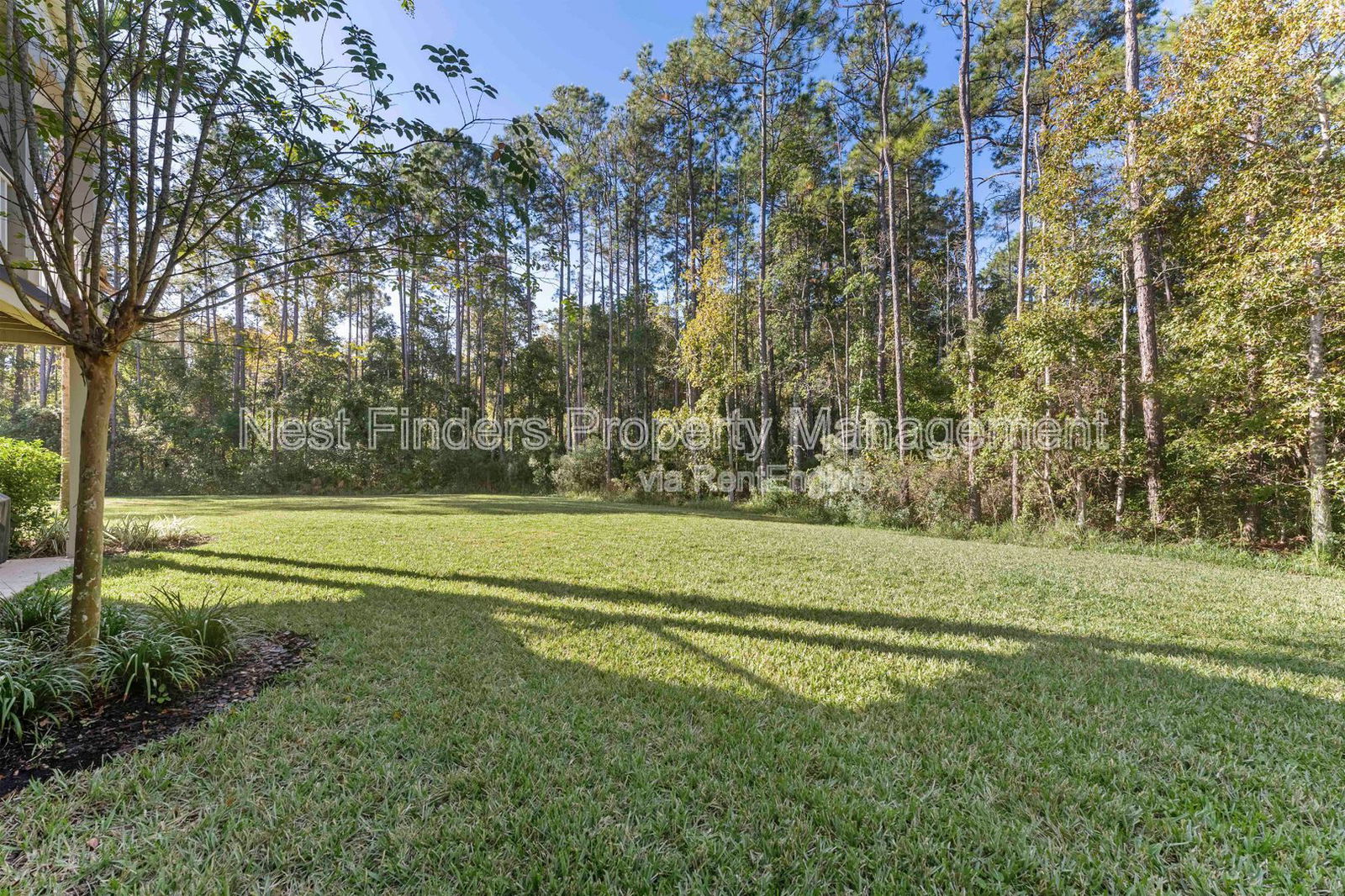 Gallery Image 42