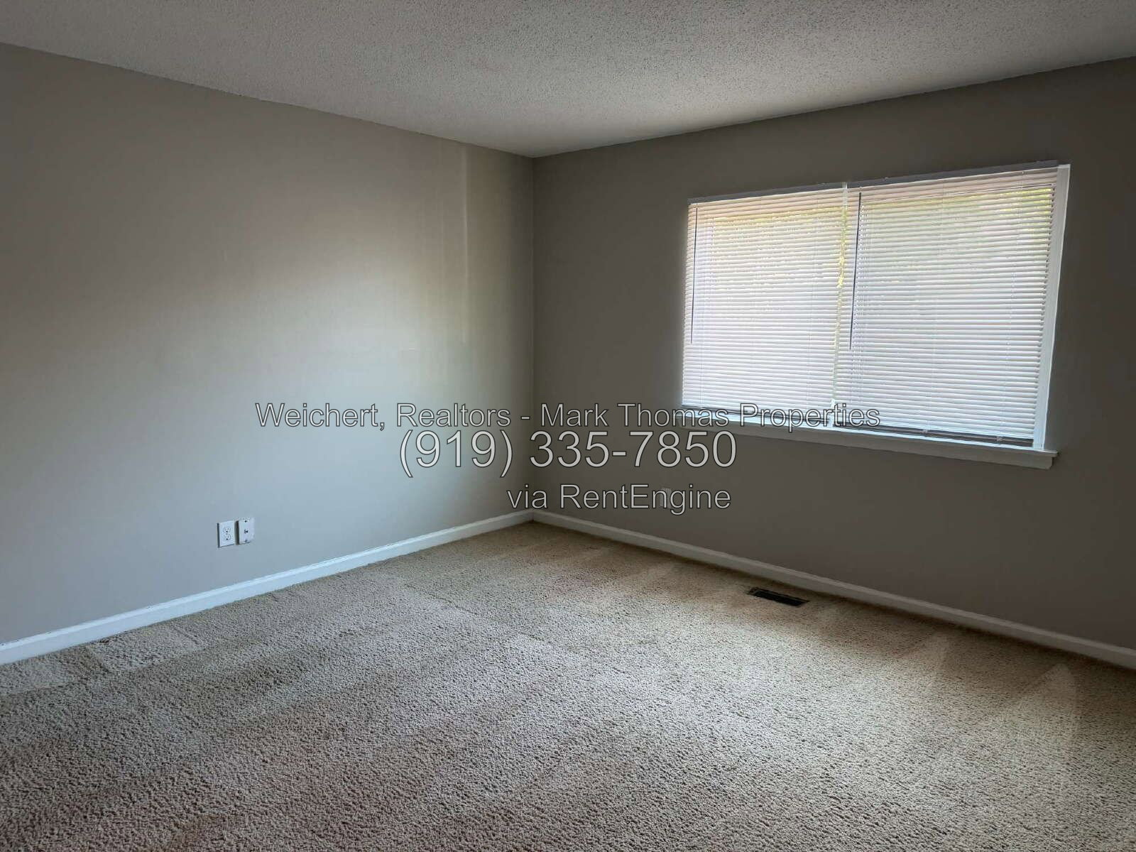 Gallery Image 27