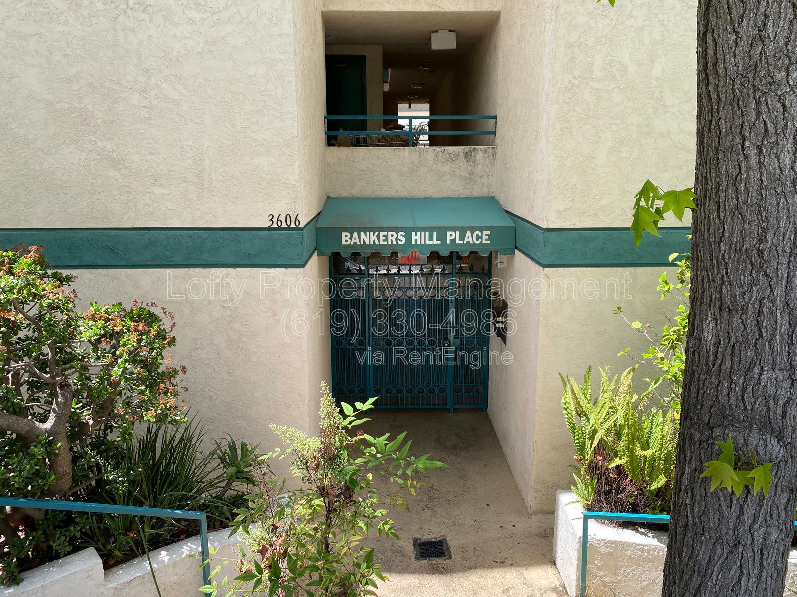 Gallery Image 17