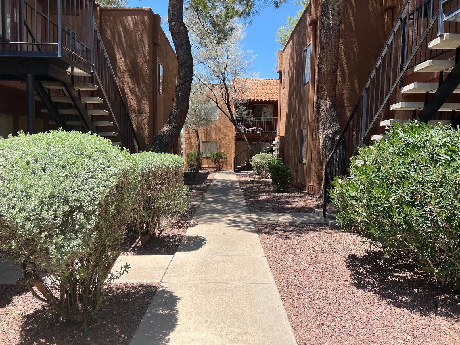 Gallery Image 12