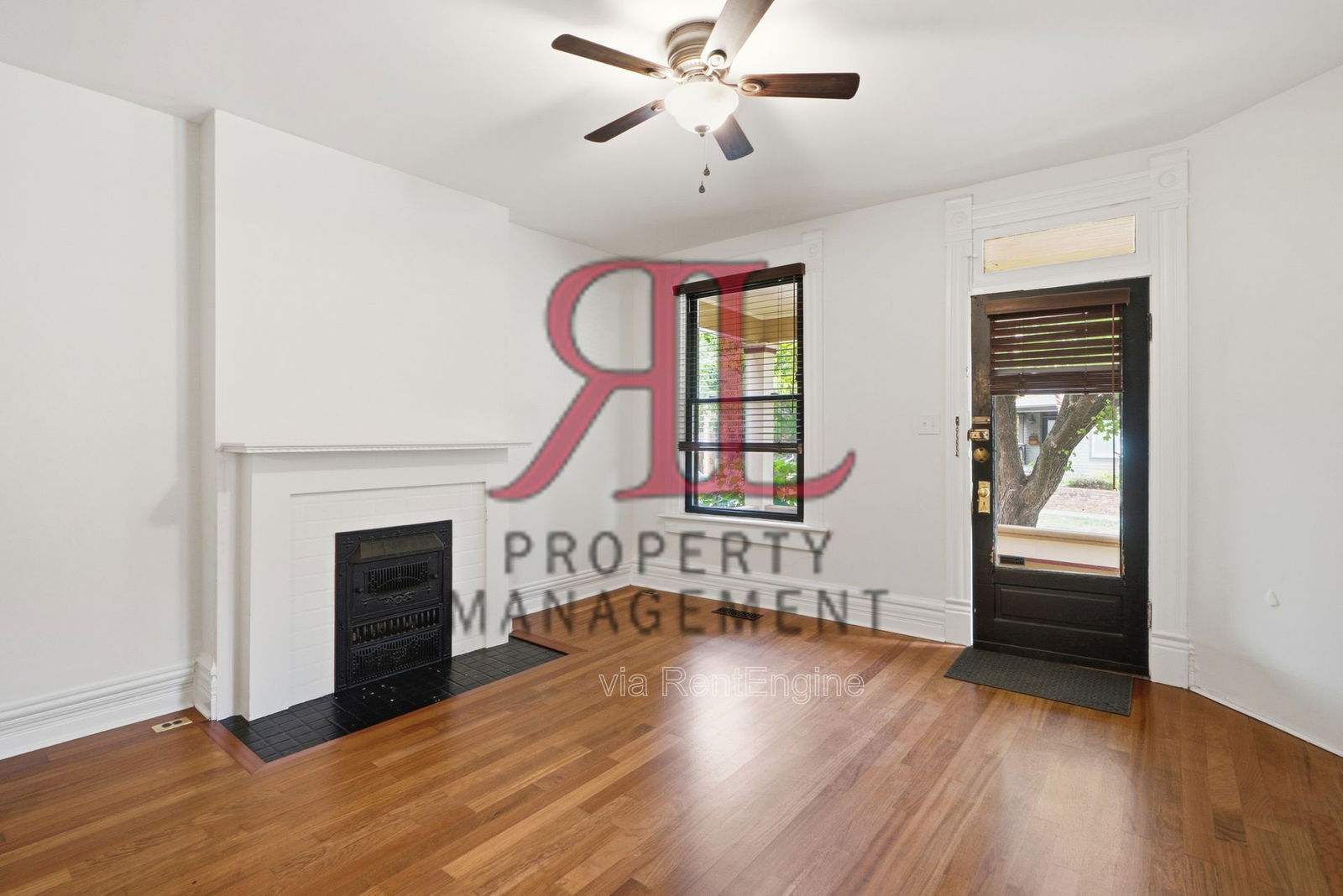 Gallery Image 7