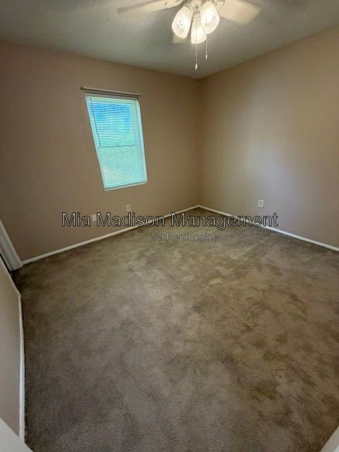 Gallery Image 19