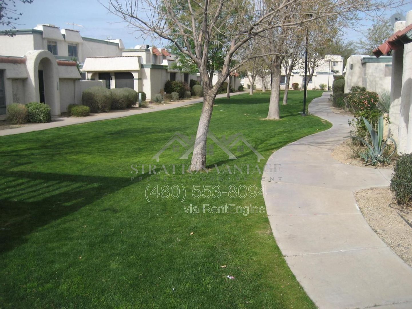 Gallery Image 13