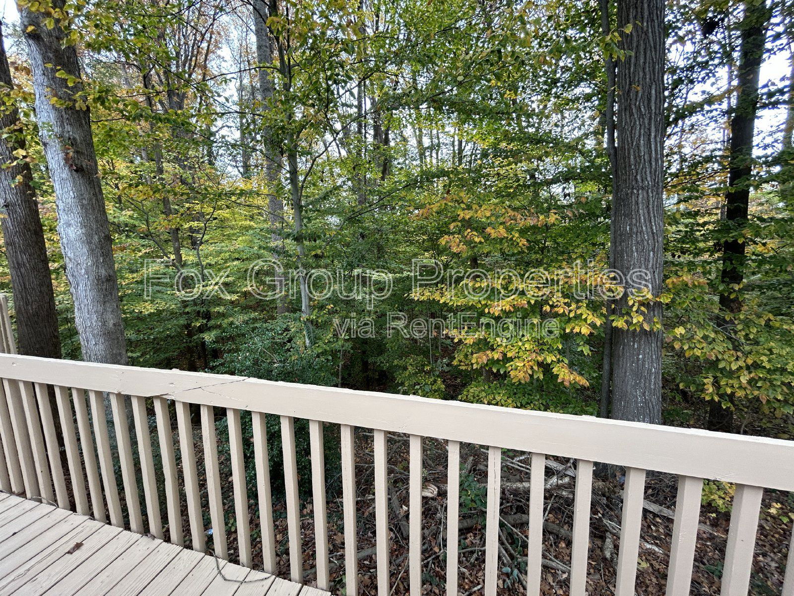 Gallery Image 17