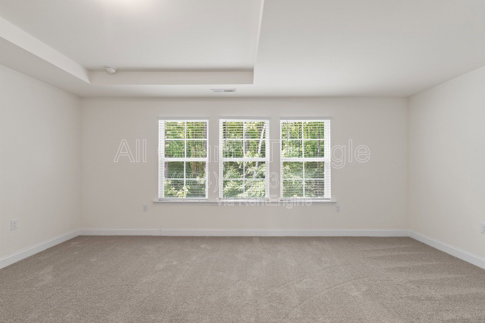 Gallery Image 26