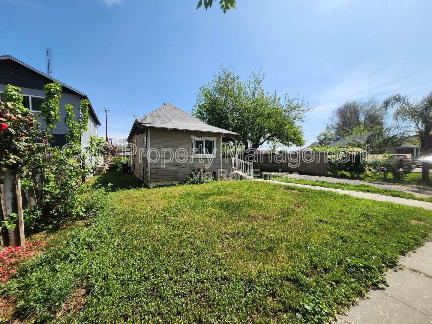 Gallery Image 20