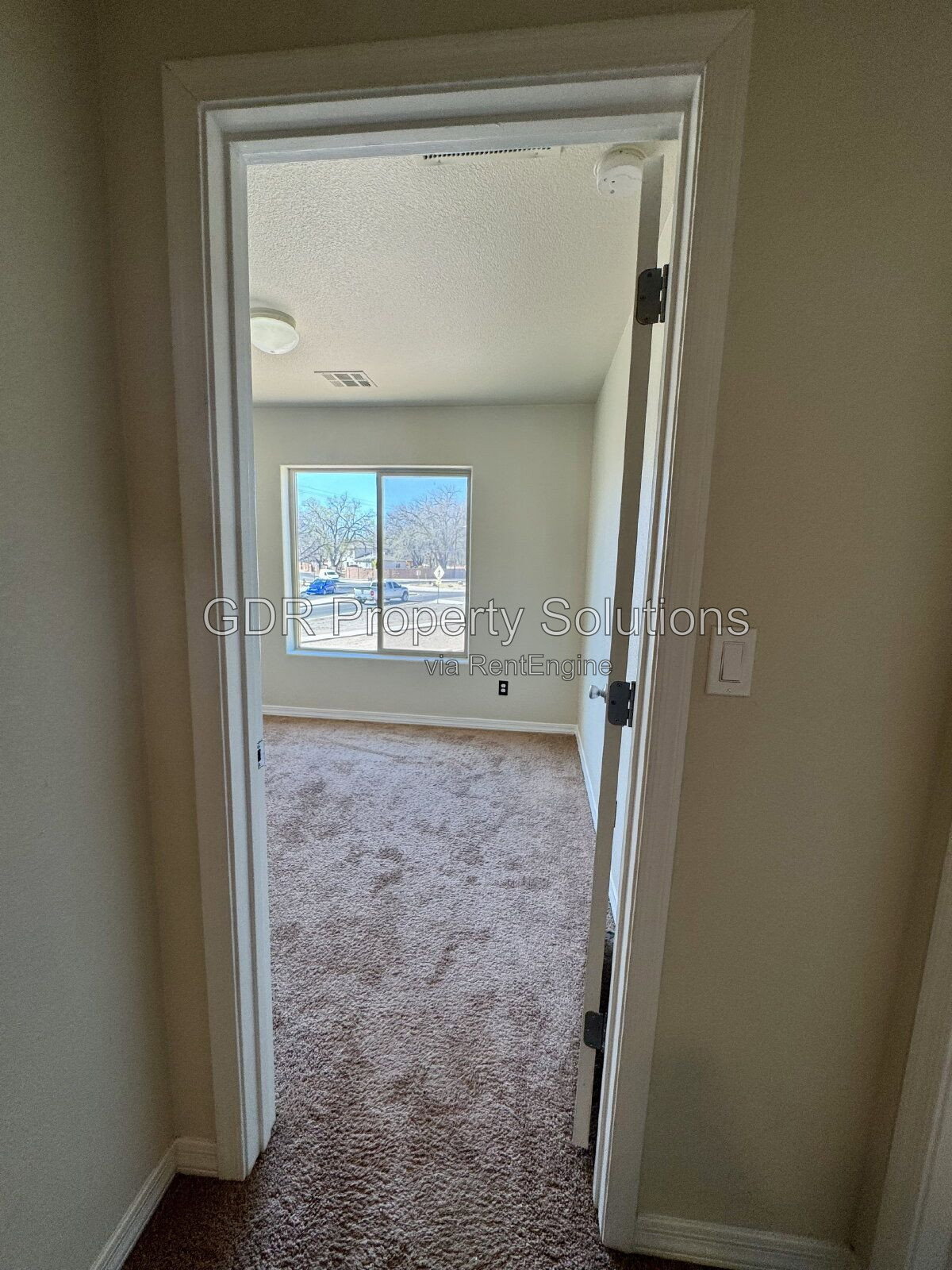 Gallery Image 15