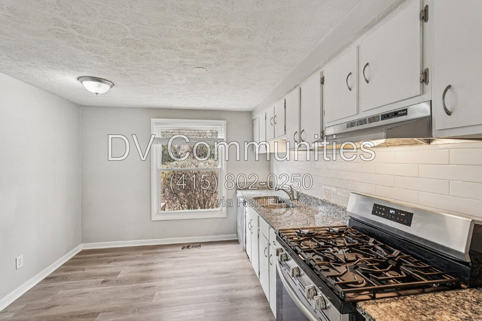 Gallery Image 15