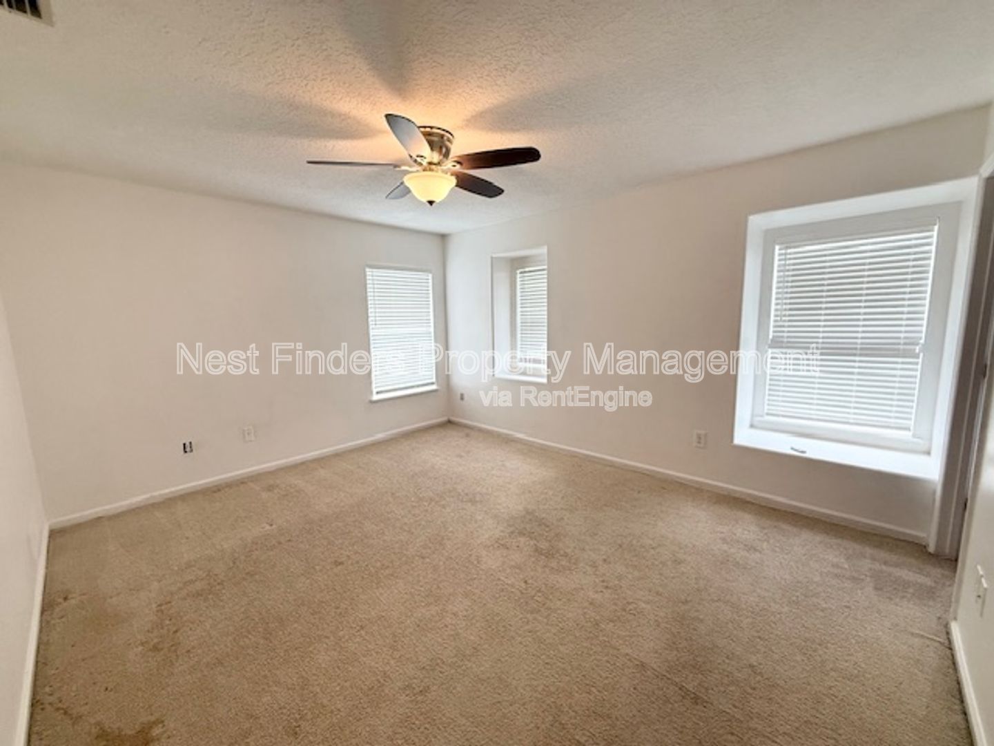 Gallery Image 34