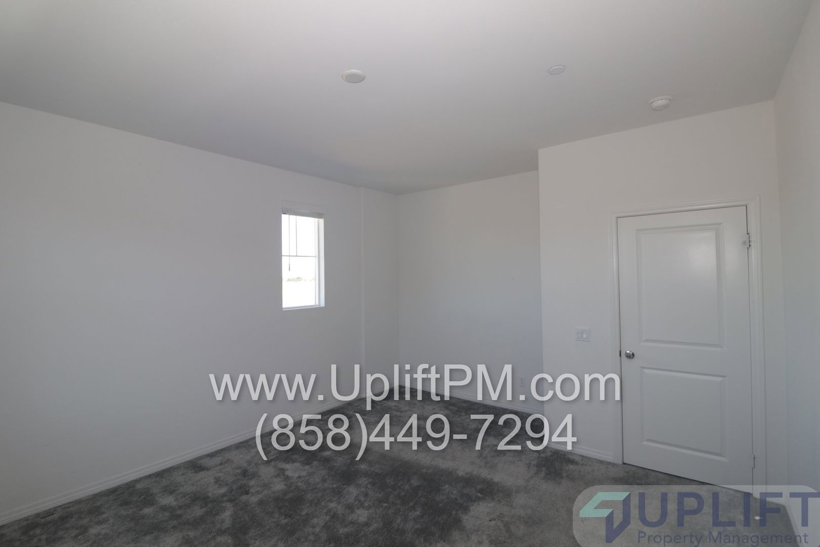 Gallery Image 42