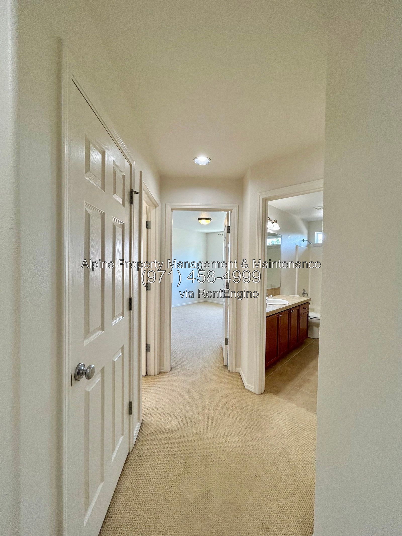 Gallery Image 48