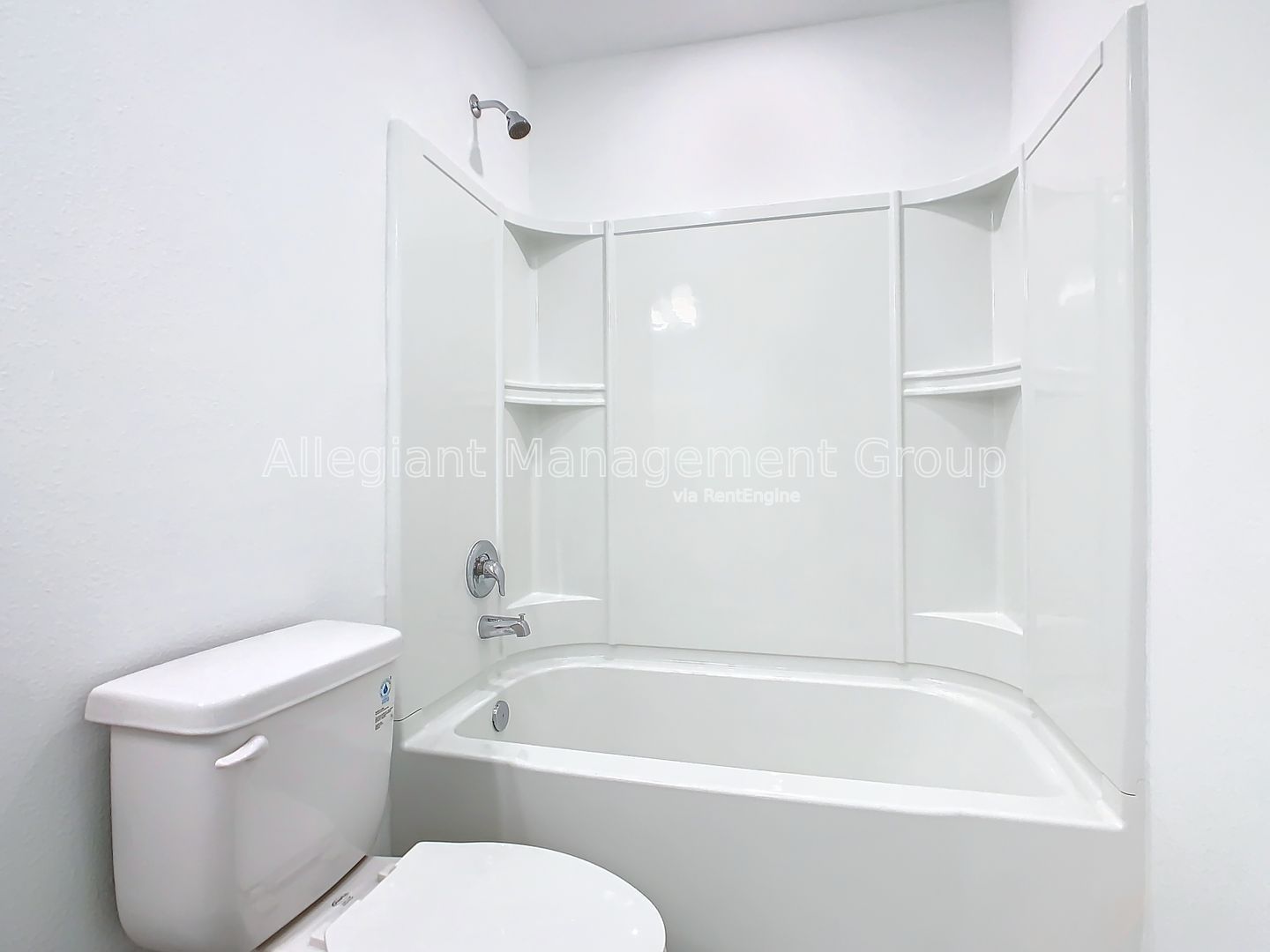 Gallery Image 20