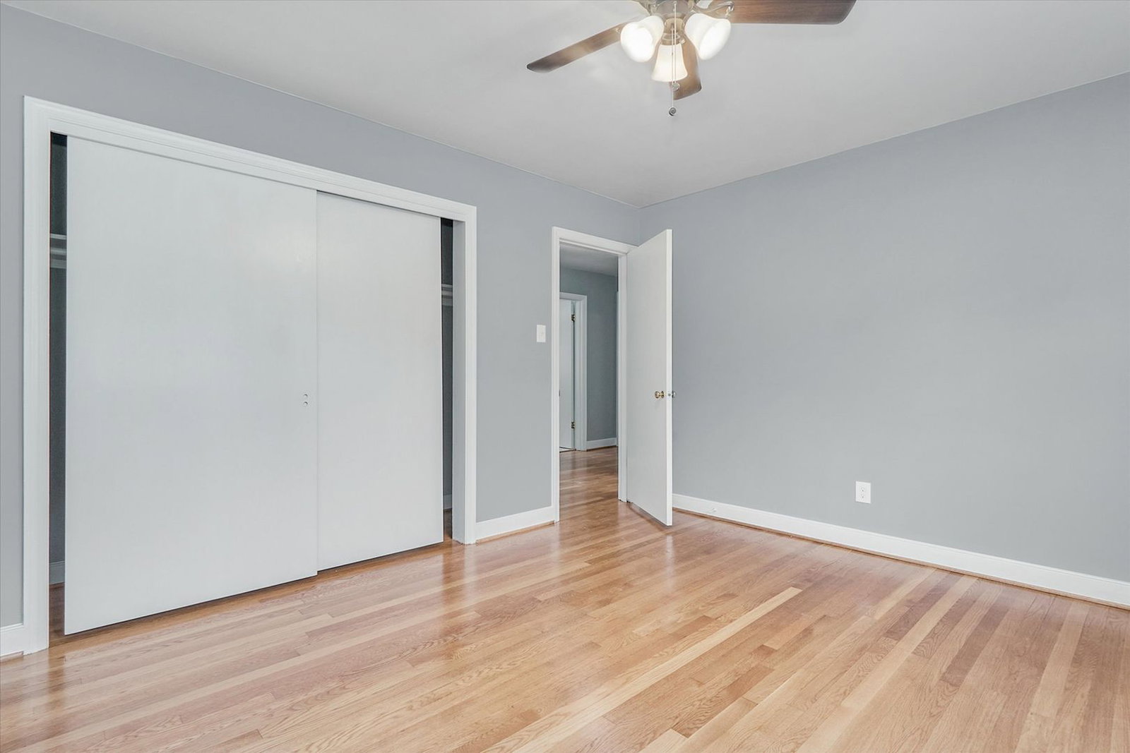 Gallery Image 19
