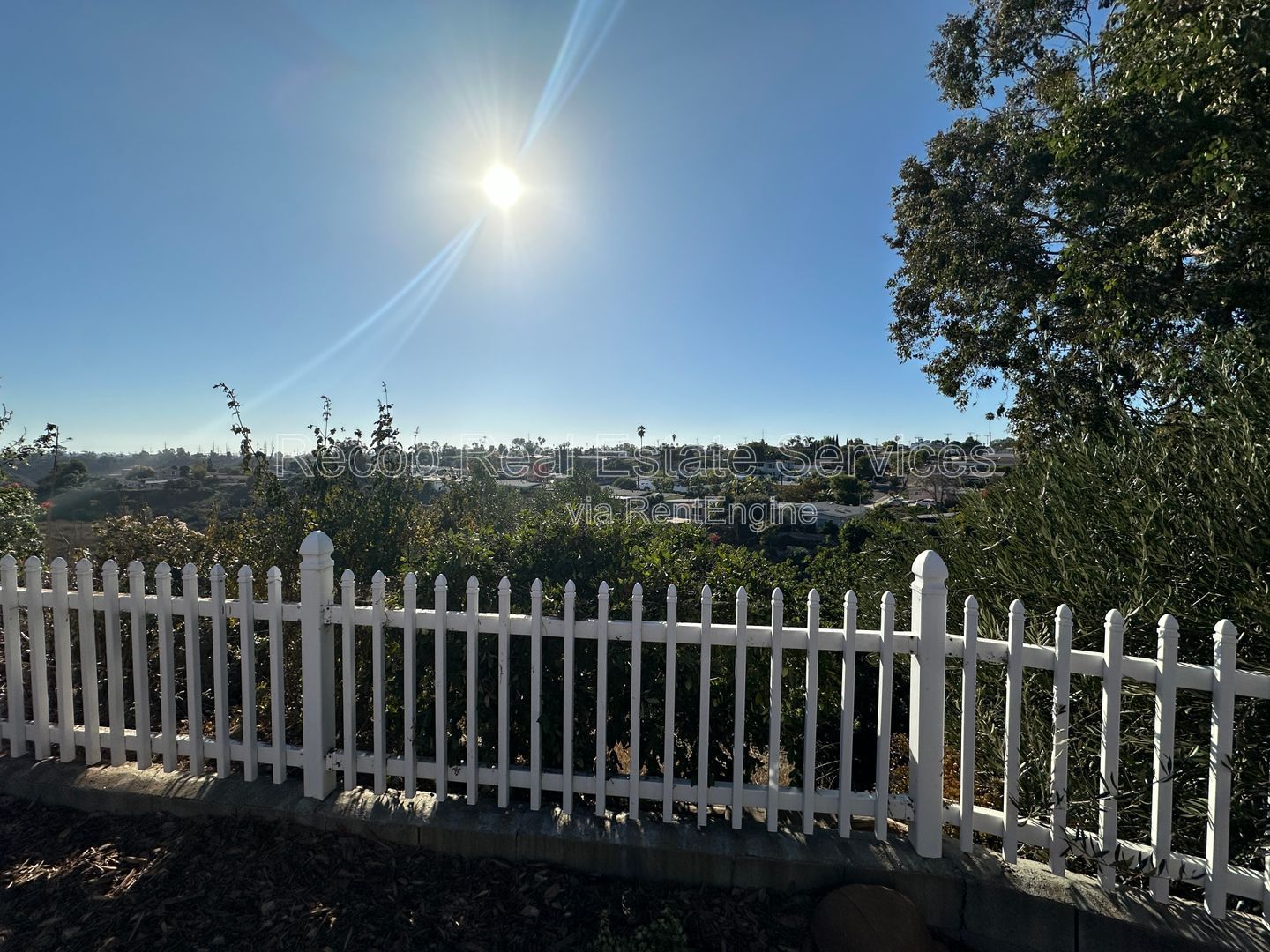 Gallery Image 11