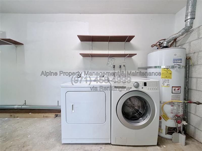 Gallery Image 15