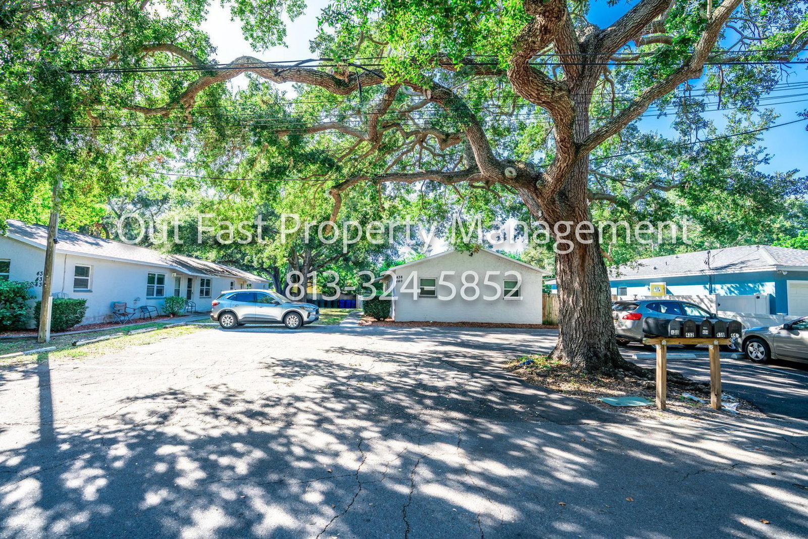 Gallery Image 38