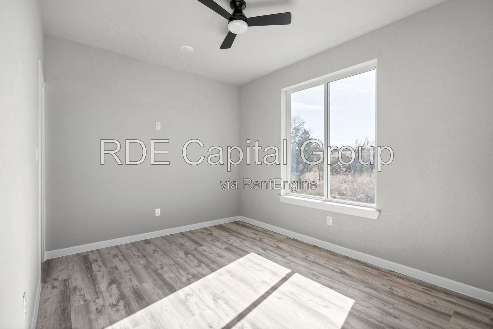 Gallery Image 19