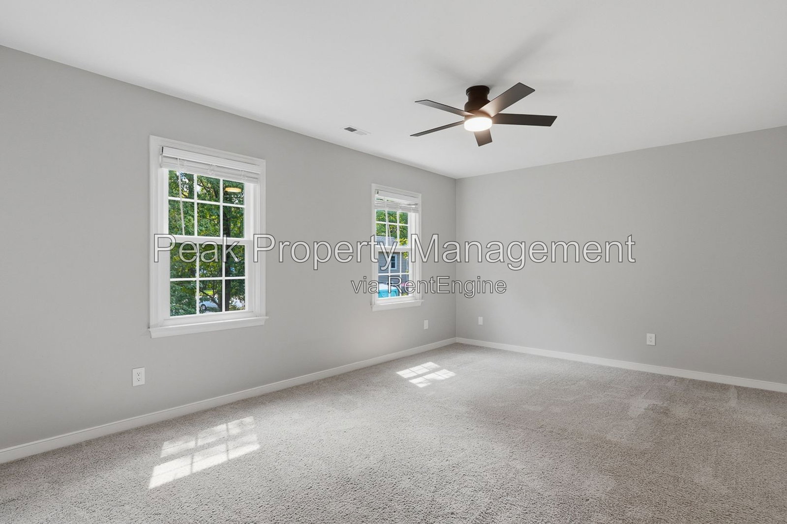Gallery Image 16