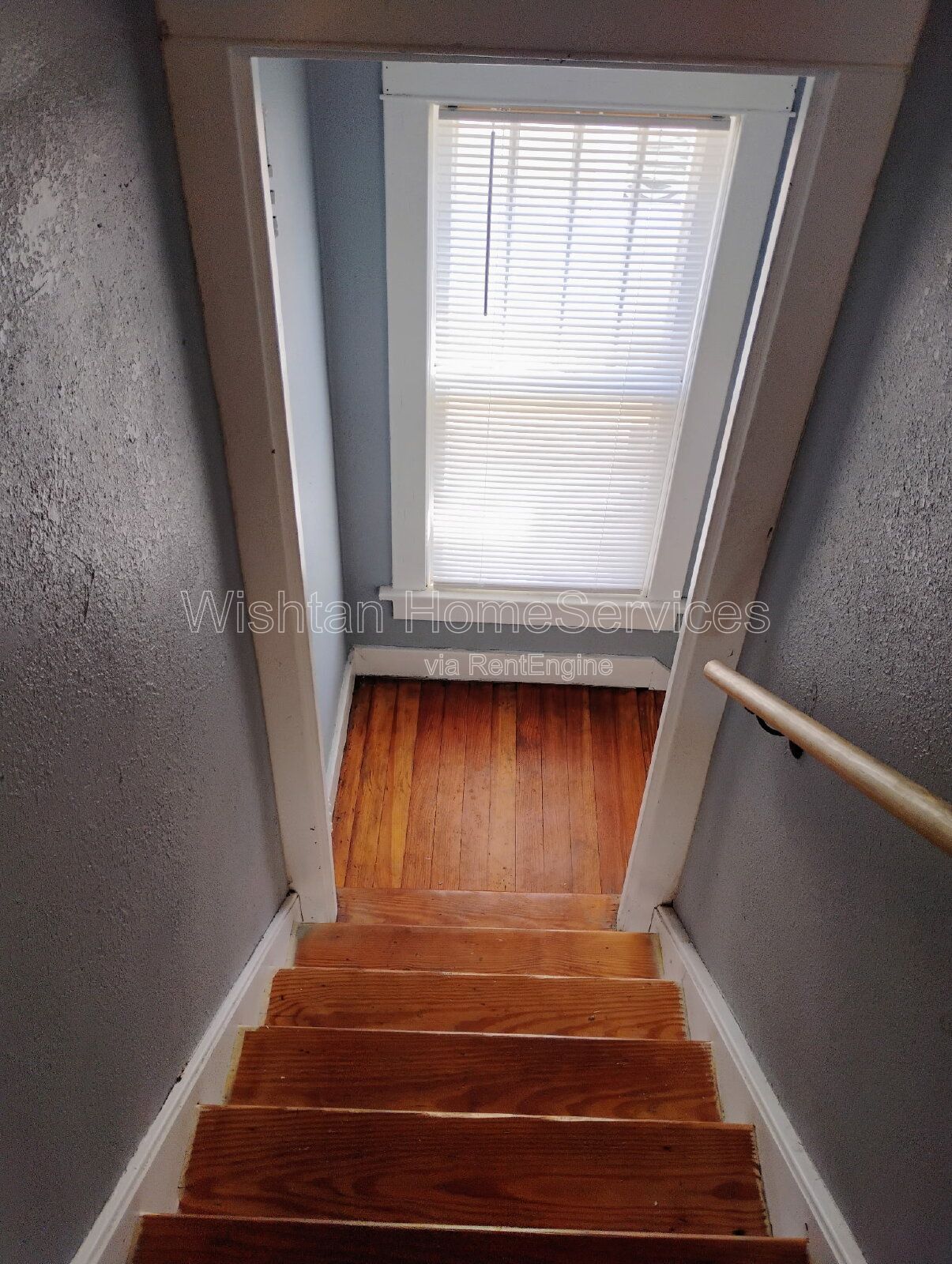 Gallery Image 7