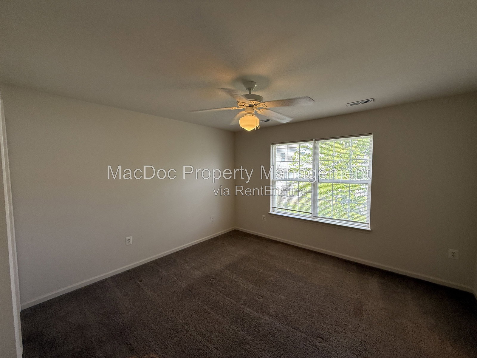 Gallery Image 38