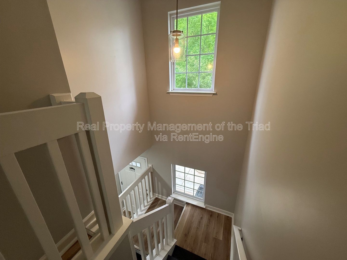 Gallery Image 11