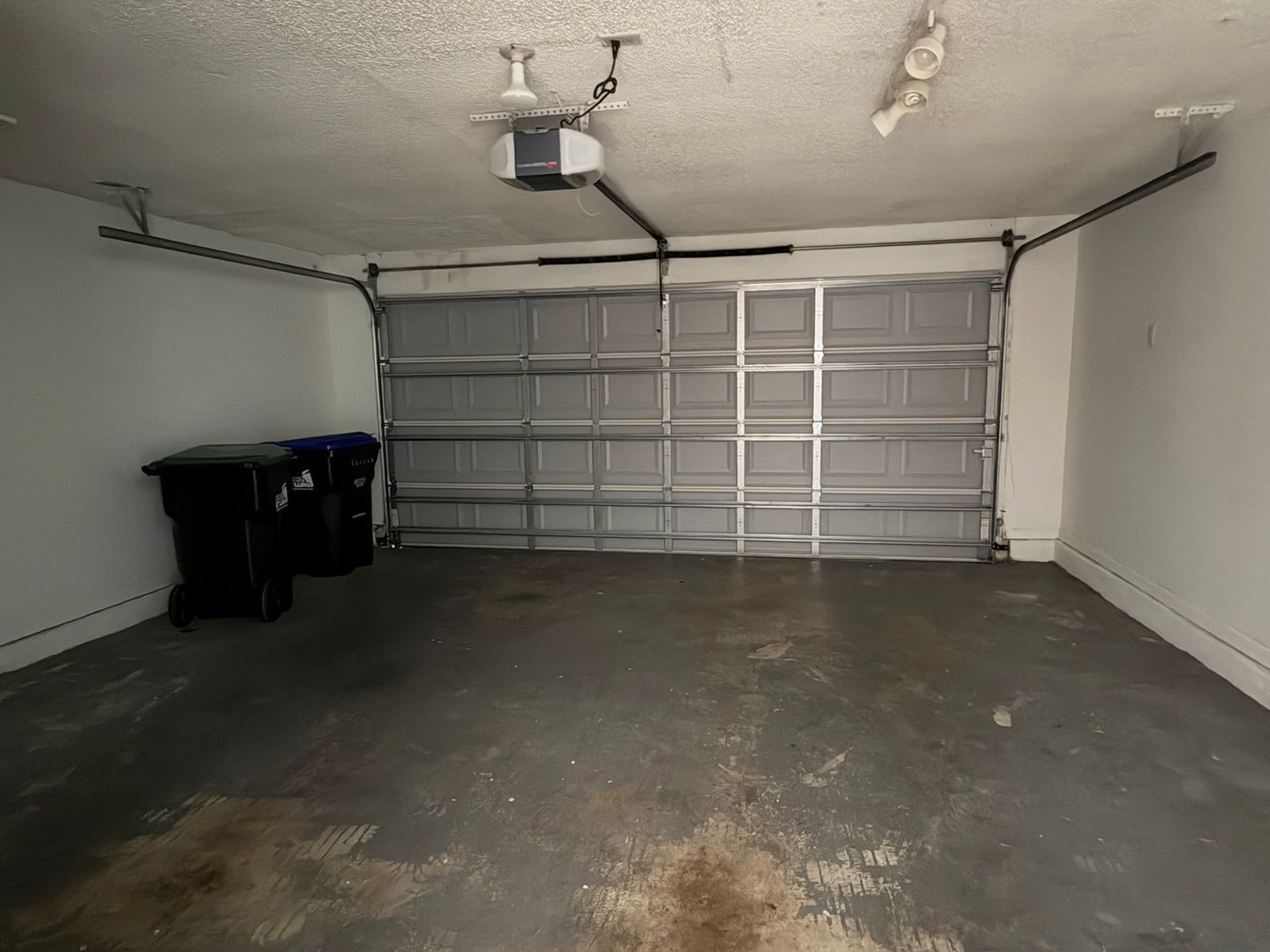 Gallery Image 17