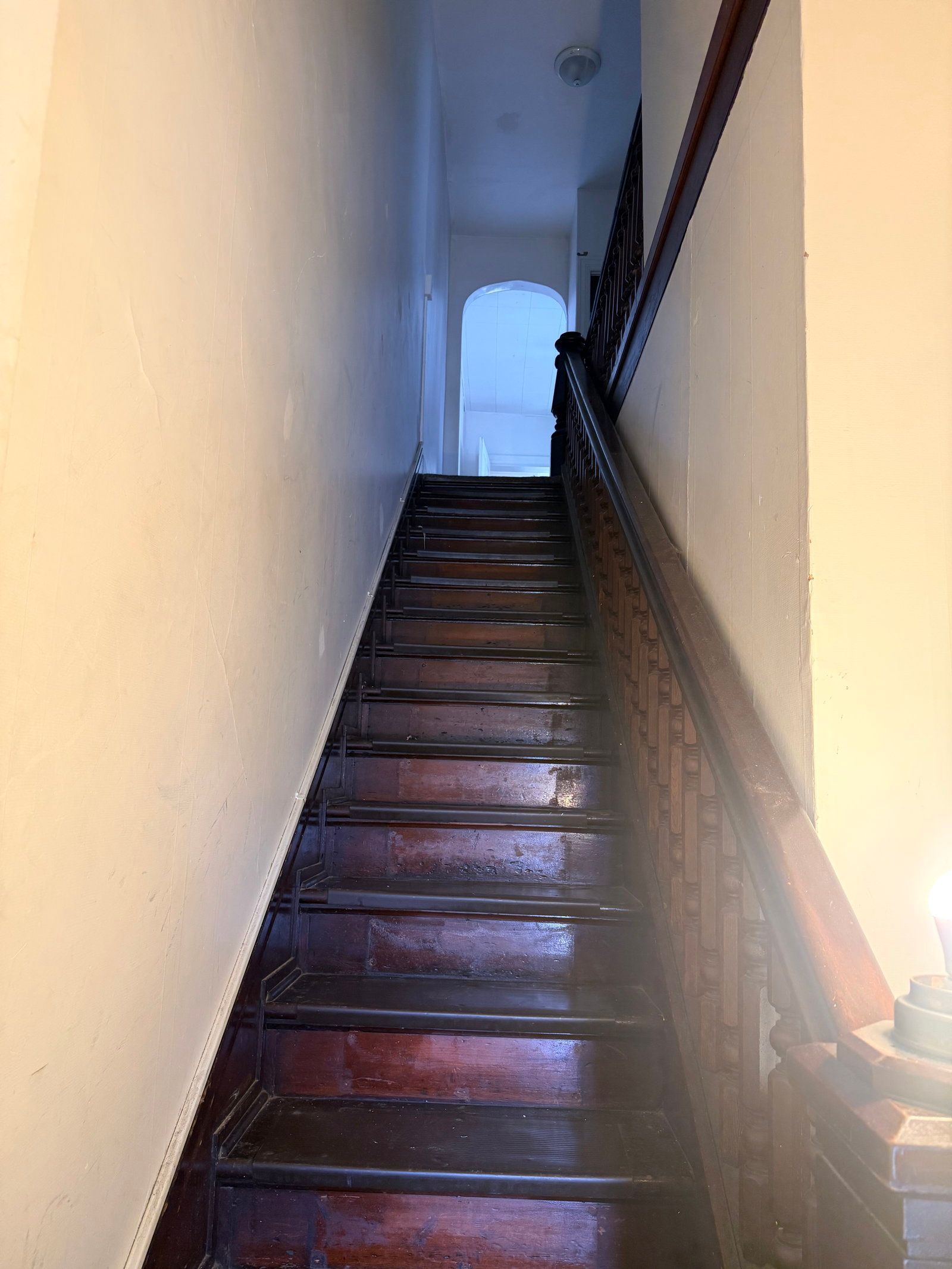 Gallery Image 11