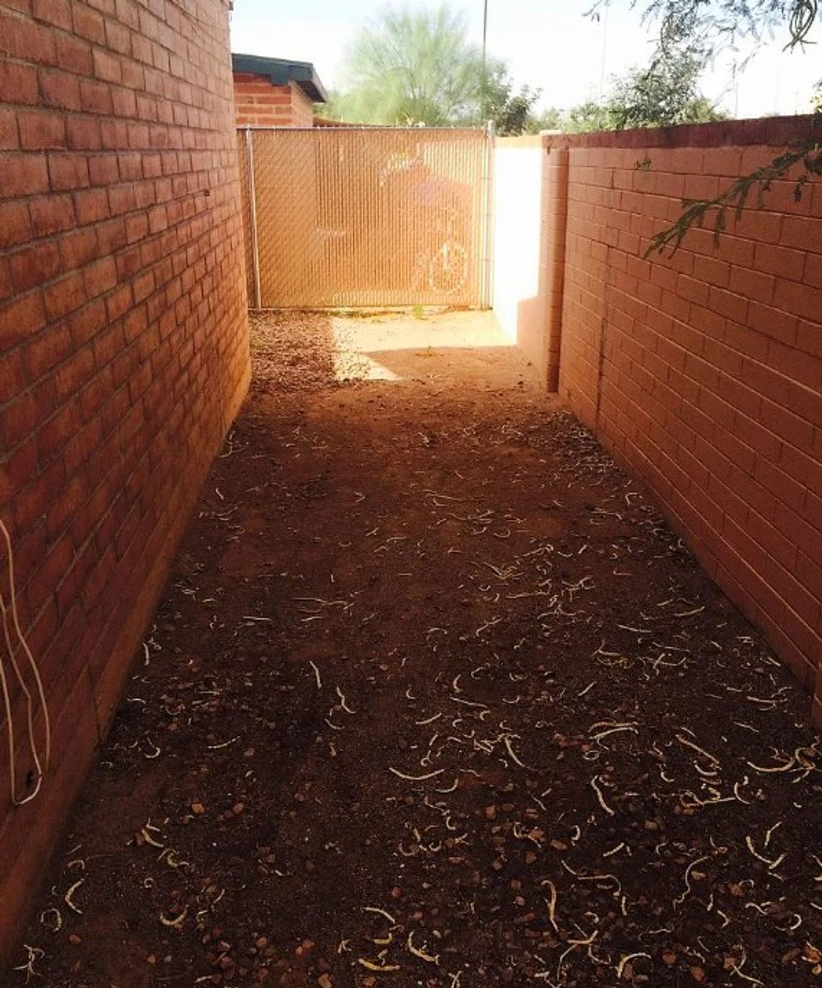 Gallery Image 19