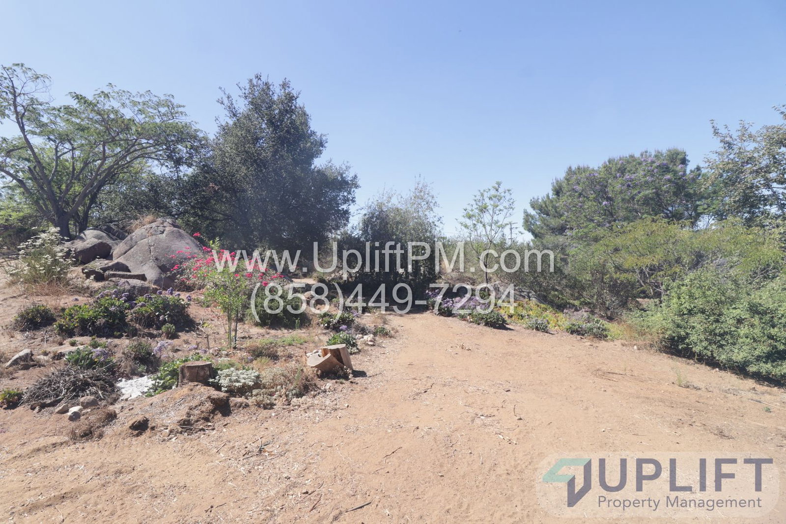 Gallery Image 33