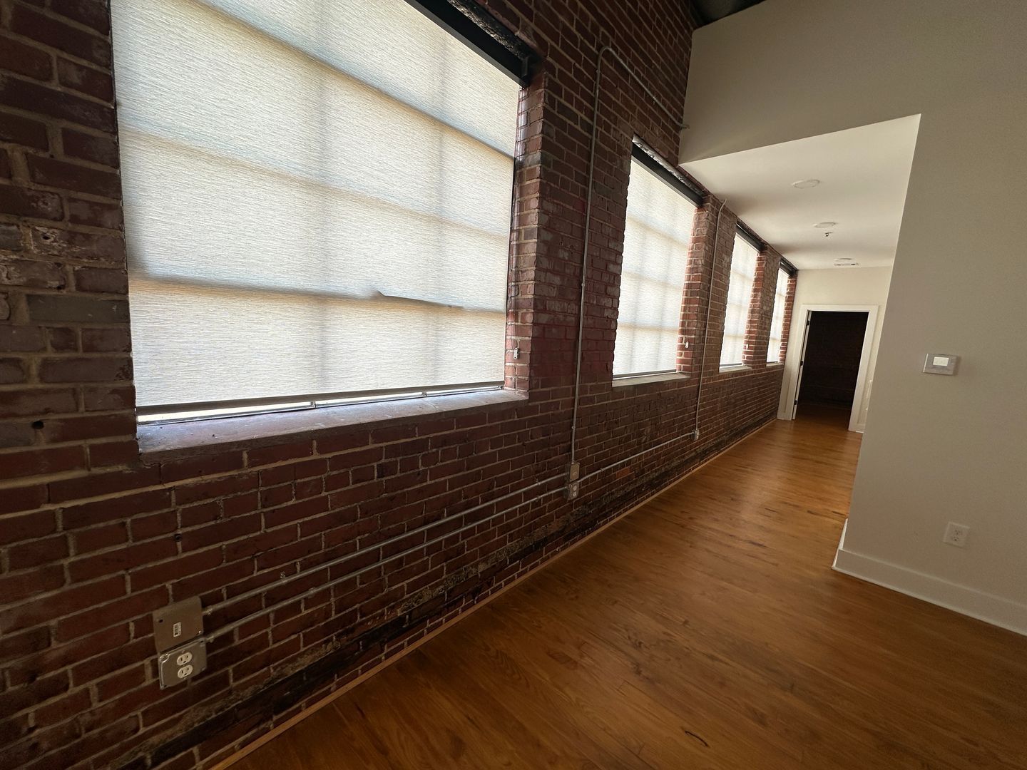 Gallery Image 15