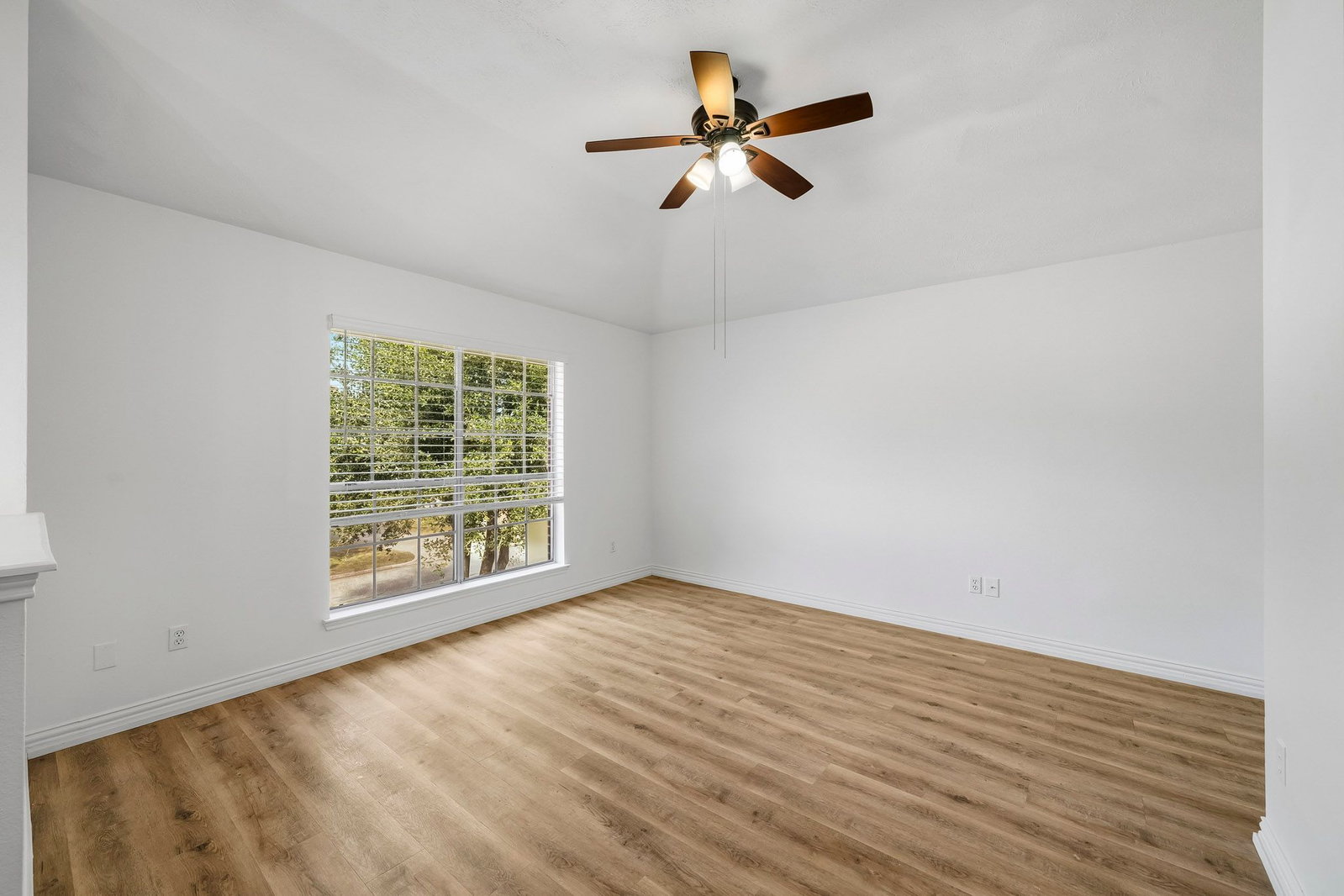 Gallery Image 8