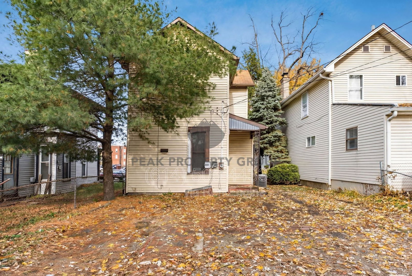 Gallery Image 15
