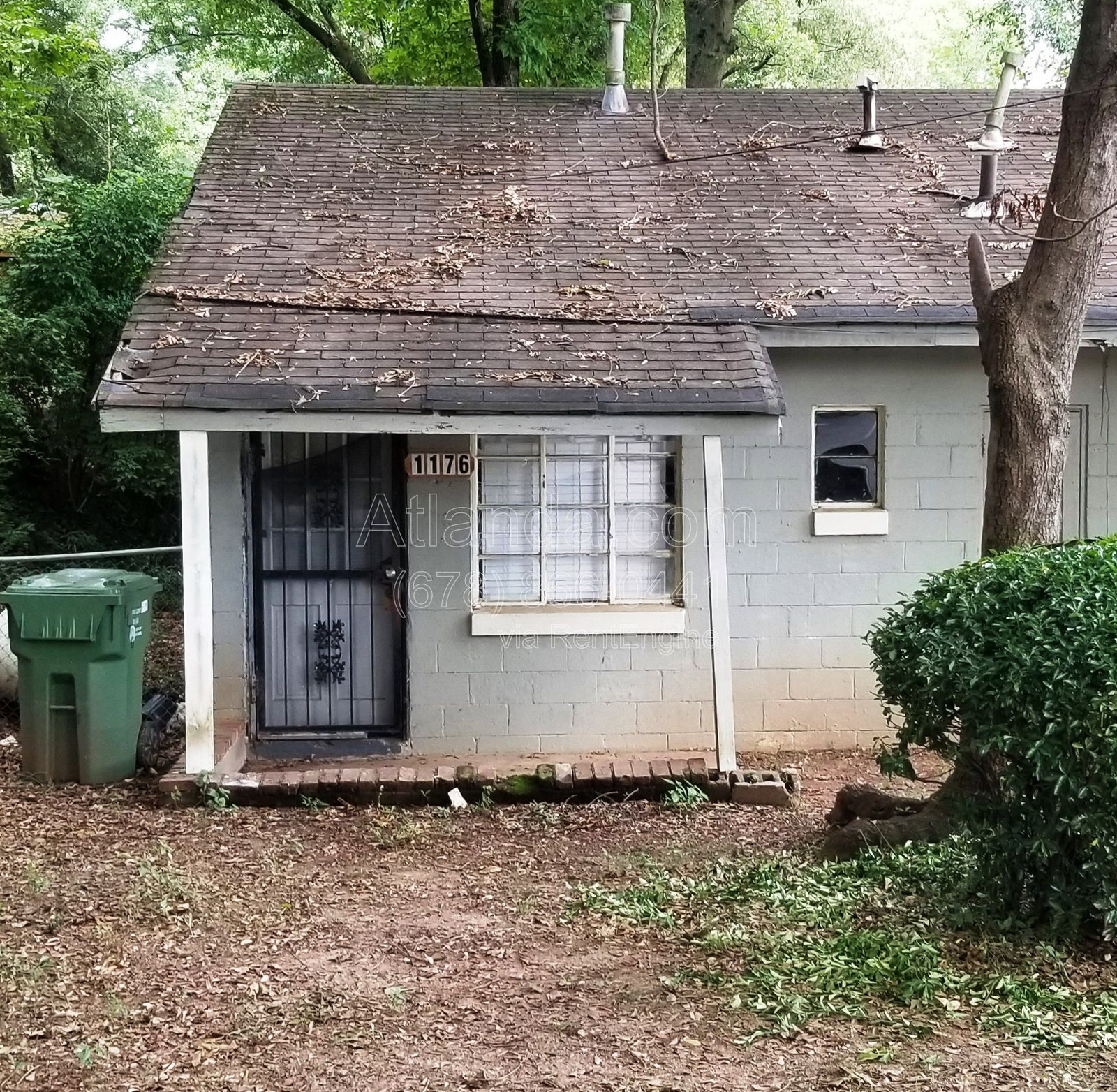 Gallery Image 0
