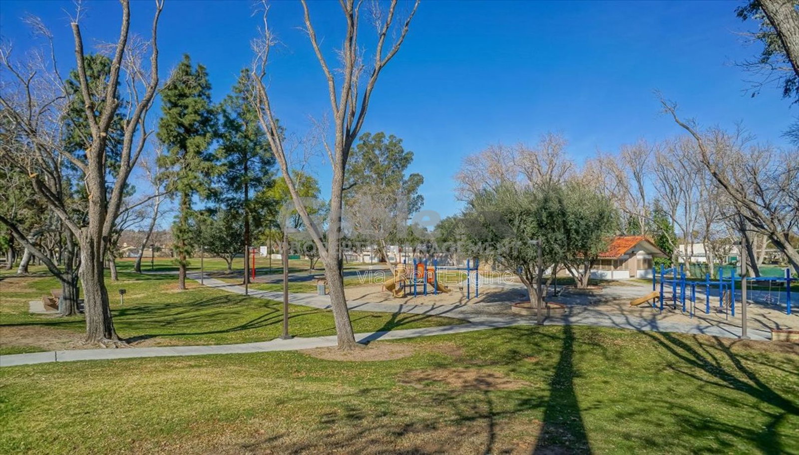 Gallery Image 15