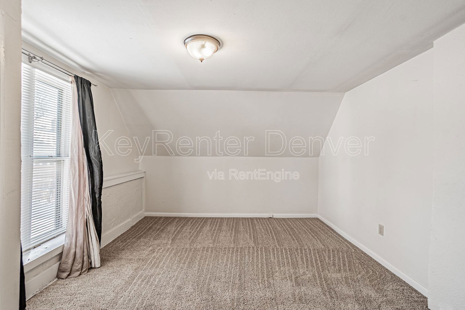 Gallery Image 19