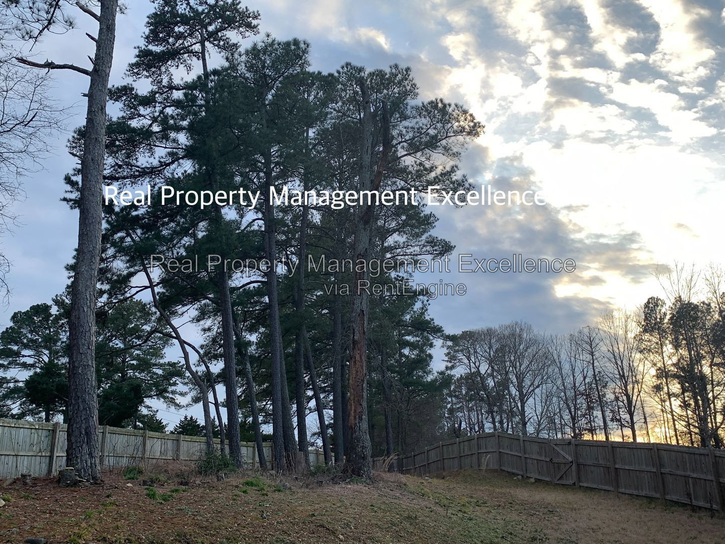 Gallery Image 35