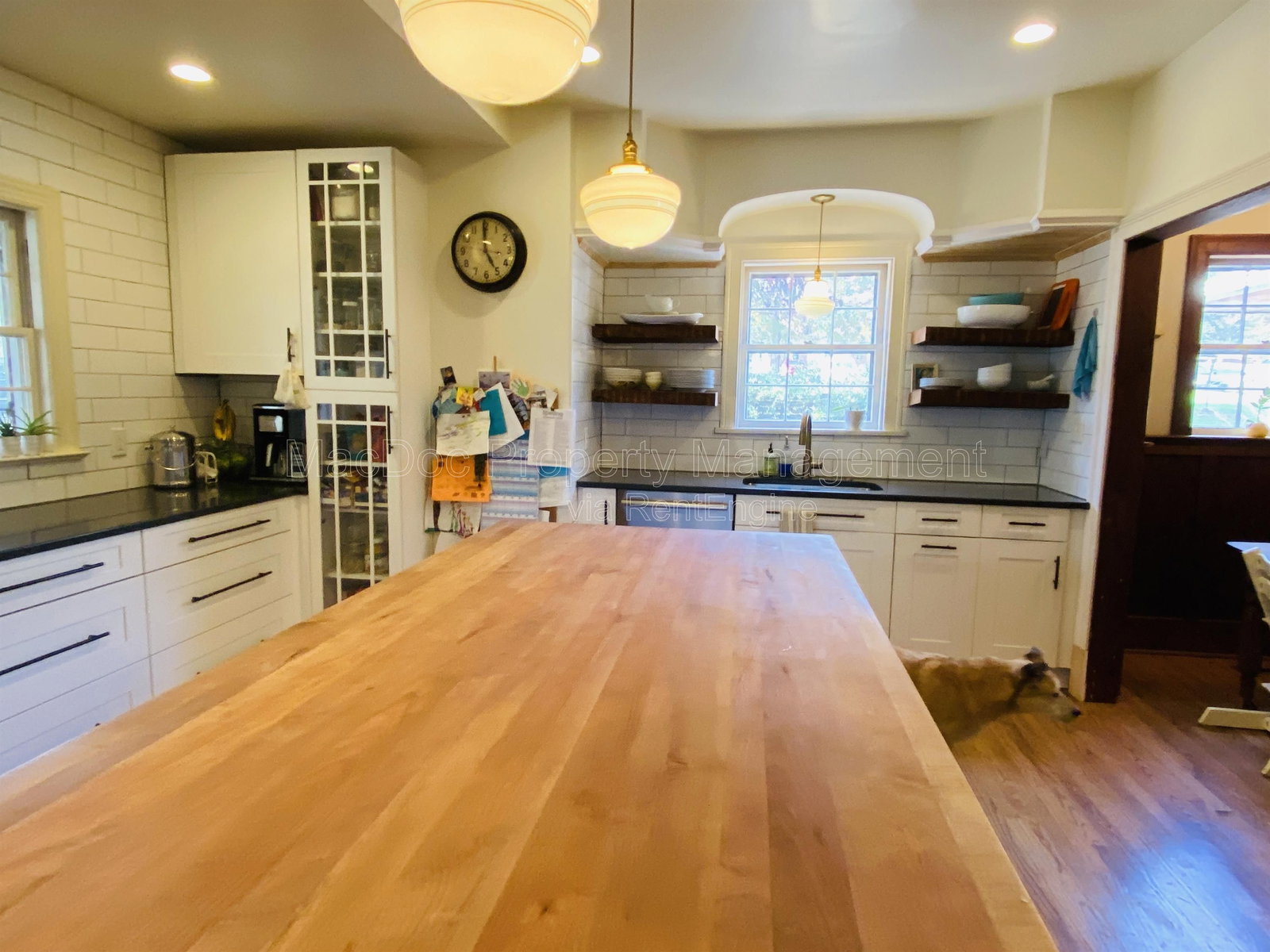 Gallery Image 14