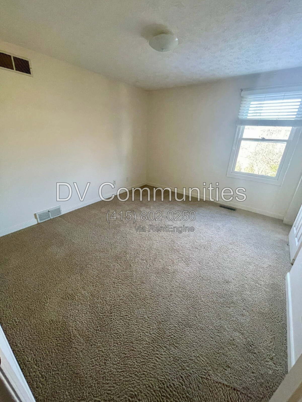 Gallery Image 23