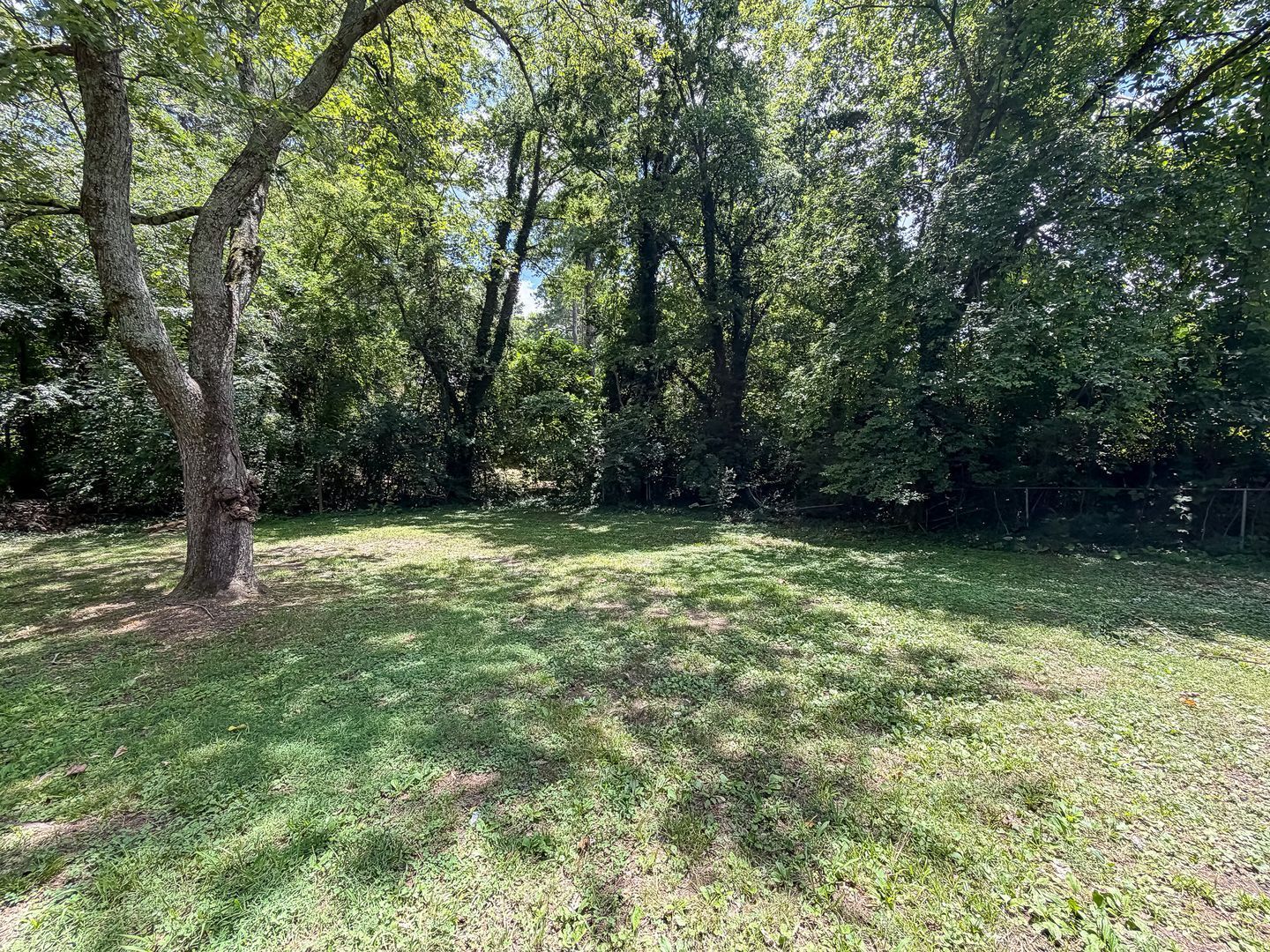 Gallery Image 16
