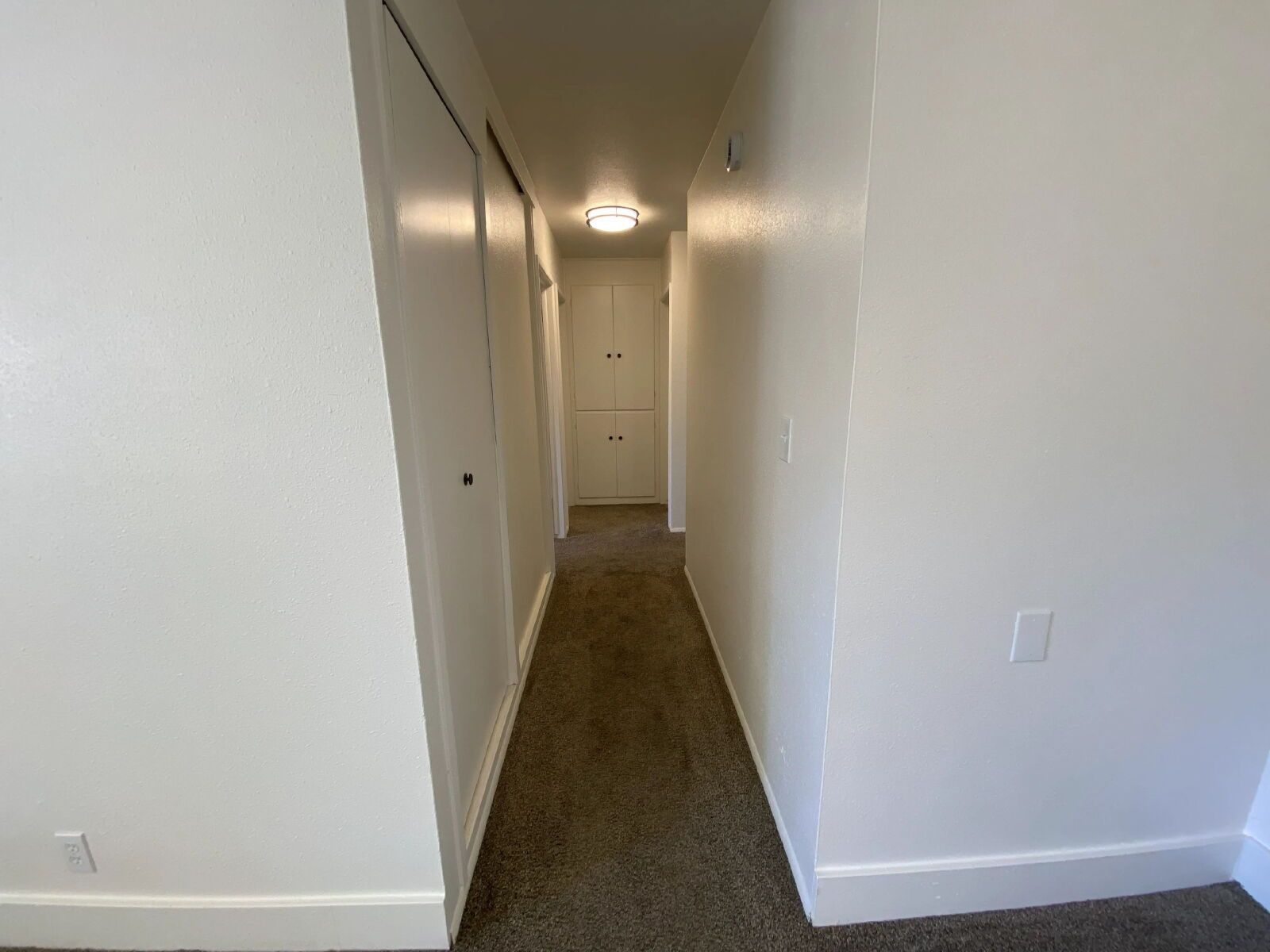 Gallery Image 22